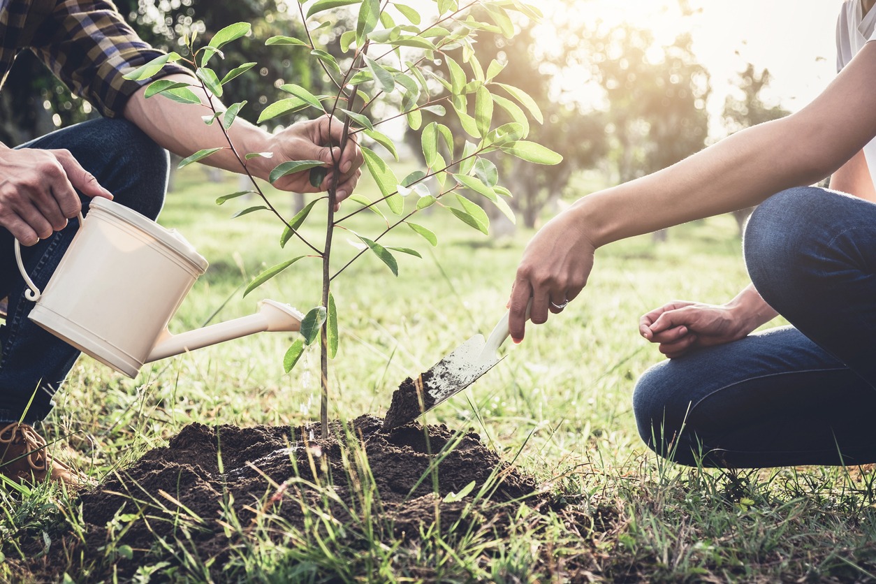 Great Gardening Ideas to Get You Started