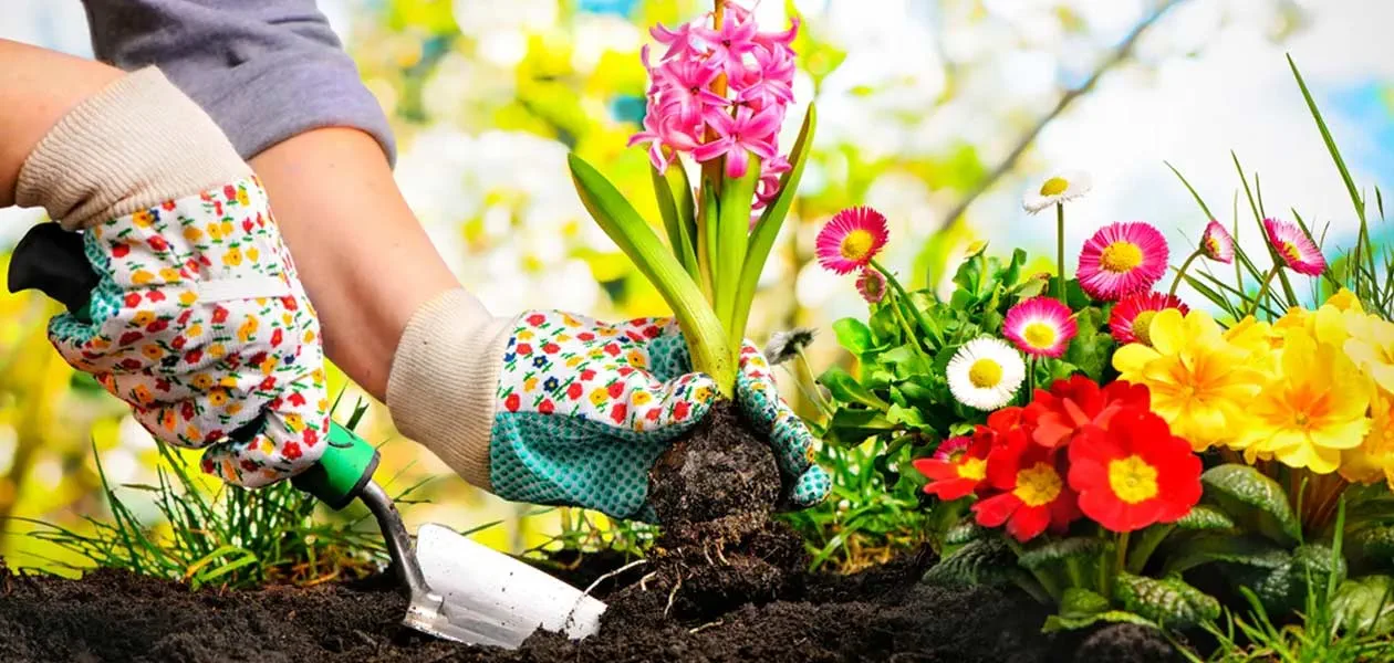 The Best Gardening Tips For 2023